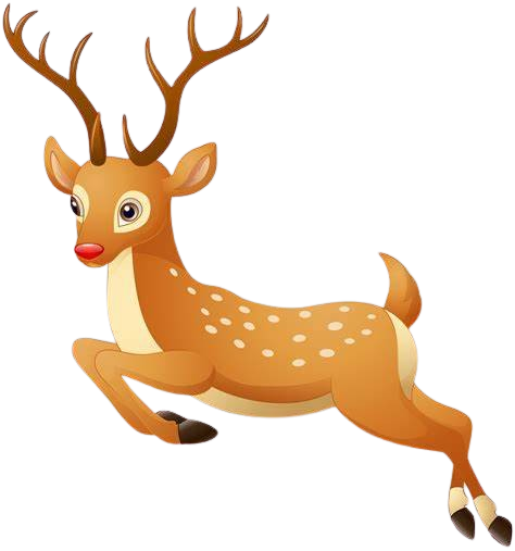 Reindeer